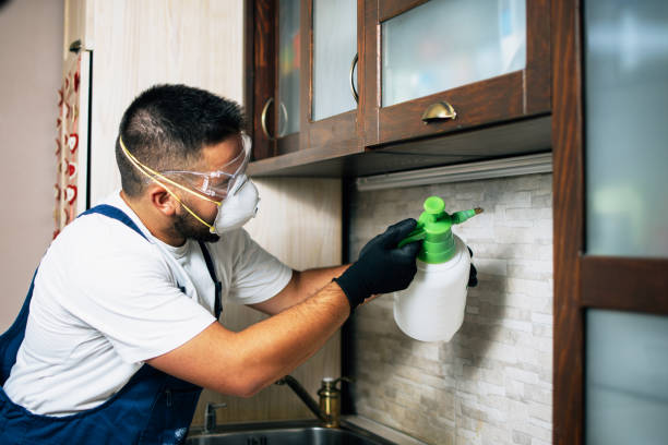 Best Affordable Pest Control Services  in Avenue B And C, AZ