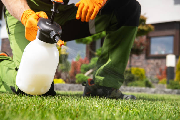 Best Residential Pest Control  in Avenue B And C, AZ