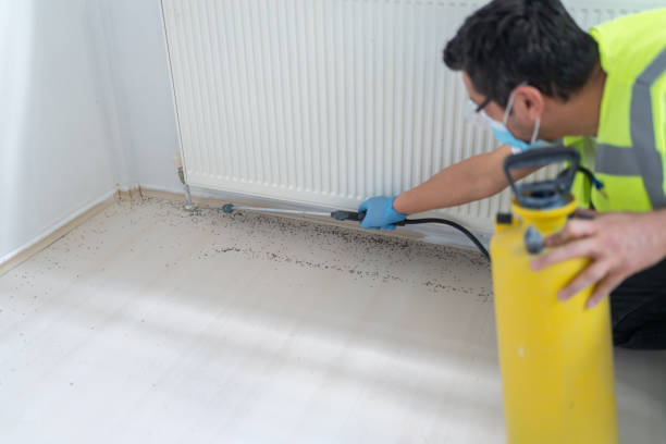 Best Affordable Pest Control Services  in Avenue B And C, AZ