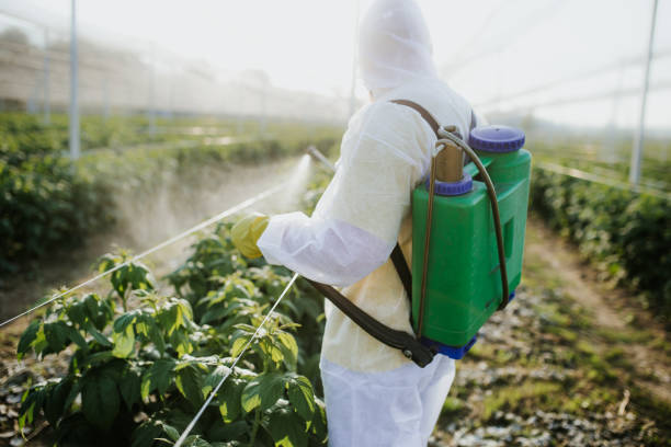 Best Commercial Pest Control Services  in Avenue B And C, AZ